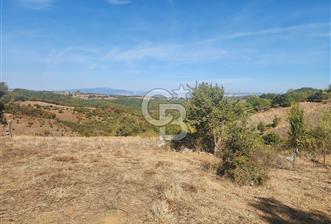 Çanakkale Çan Bardakçılar Köyü Satılık 16.500 M2 Arazi