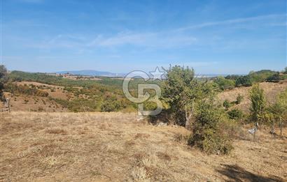 Çanakkale Çan Bardakçılar Köyü Satılık 16.500 M2 Arazi