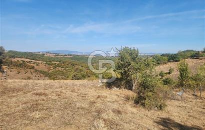 Çanakkale Çan Bardakçılar Köyü Satılık 16.500 M2 Arazi