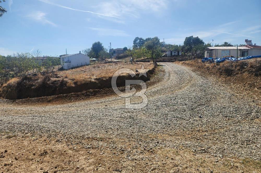 Çanakkale Çan Bardakçılar Köyü Satılık 16.500 M2 Arazi
