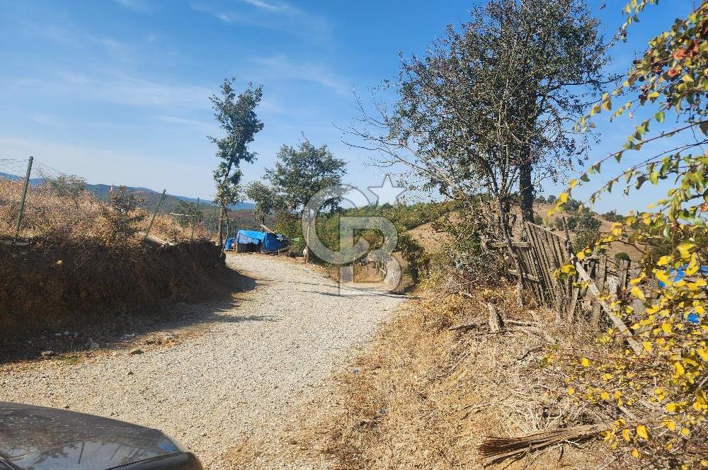 Çanakkale Çan Bardakçılar Köyü Satılık 16.500 M2 Arazi
