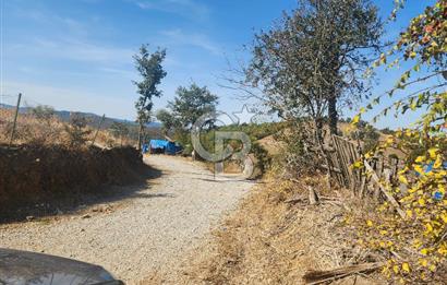 Çanakkale Çan Bardakçılar Köyü Satılık 16.500 M2 Arazi