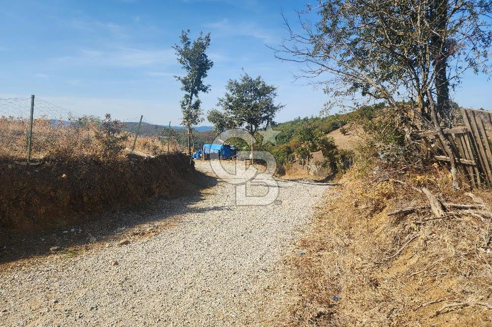 Çanakkale Çan Bardakçılar Köyü Satılık 16.500 M2 Arazi