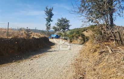 Çanakkale Çan Bardakçılar Köyü Satılık 16.500 M2 Arazi
