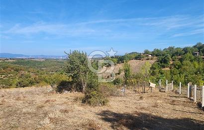 Çanakkale Çan Bardakçılar Köyü Satılık 16.500 M2 Arazi