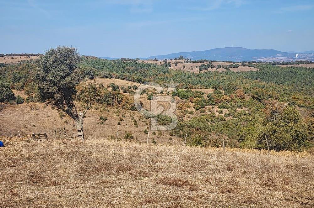 Çanakkale Çan Bardakçılar Köyü Satılık 16.500 M2 Arazi
