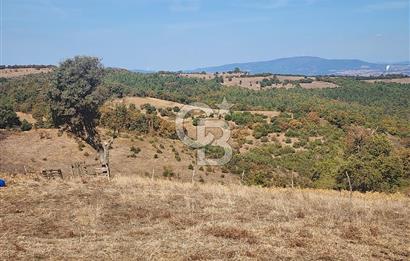 Çanakkale Çan Bardakçılar Köyü Satılık 16.500 M2 Arazi