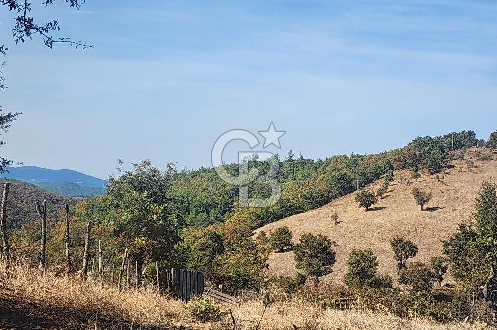Çanakkale Çan Bardakçılar Köyü Satılık 16.500 M2 Arazi