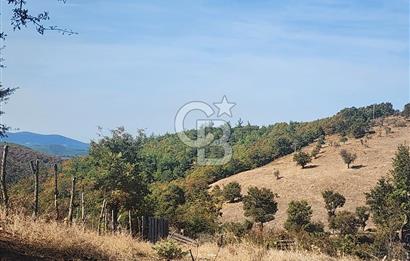 Çanakkale Çan Bardakçılar Köyü Satılık 16.500 M2 Arazi