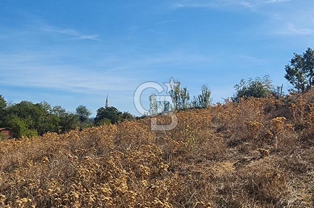Çanakkale Çan Bardakçılar Köyü Satılık 16.500 M2 Arazi