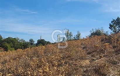 Çanakkale Çan Bardakçılar Köyü Satılık 16.500 M2 Arazi