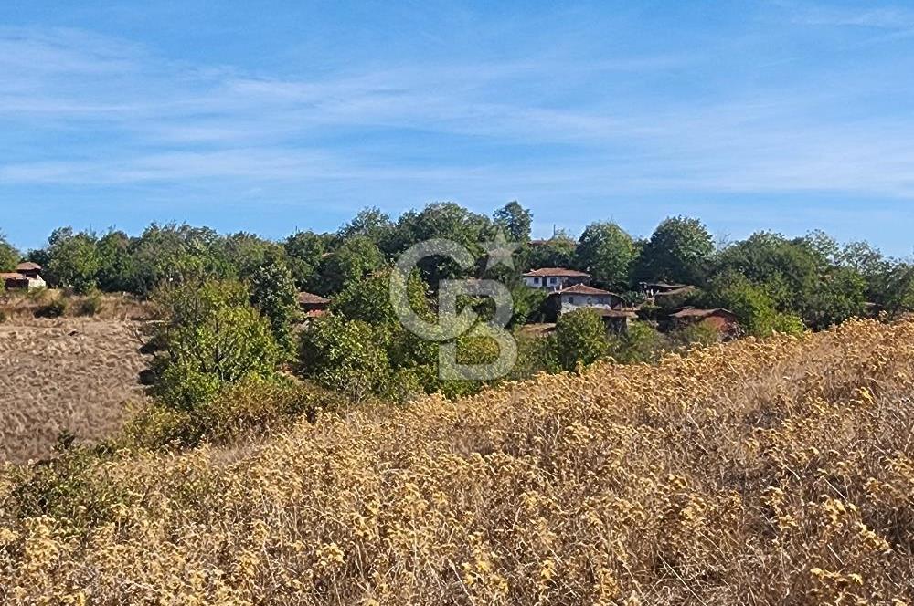 Çanakkale Çan Bardakçılar Köyü Satılık 16.500 M2 Arazi