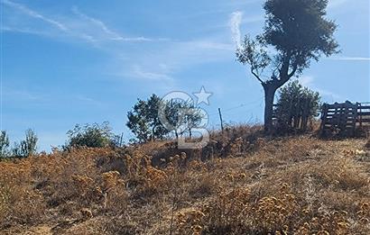 Çanakkale Çan Bardakçılar Köyü Satılık 16.500 M2 Arazi