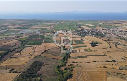 Çanakkale Biga Güvemalan Satılık 33.000 M2 Arazi