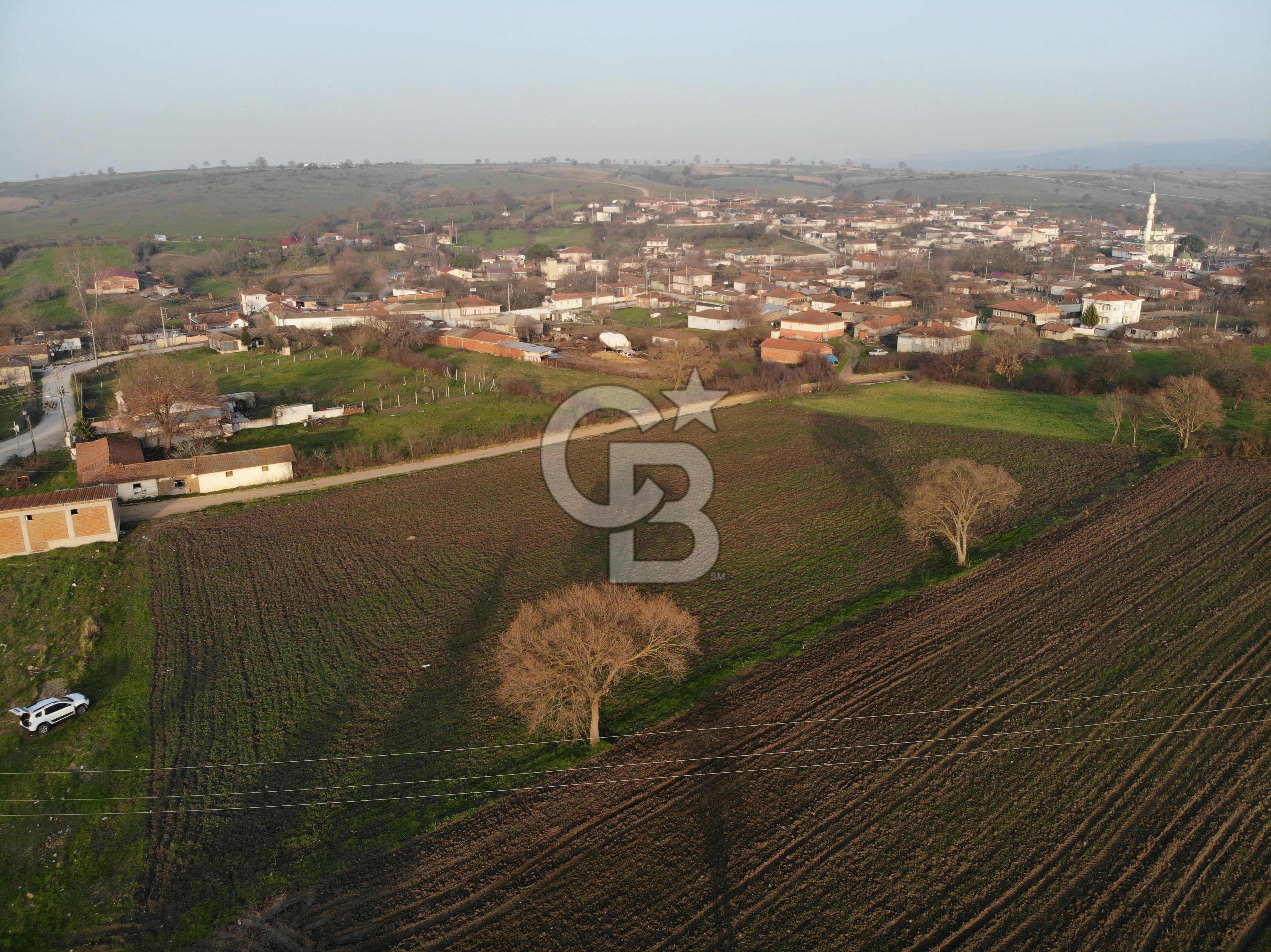 Çanakkale Biga Hacıpehlivan Satılık 1.239 M2 İmarlı Arsa