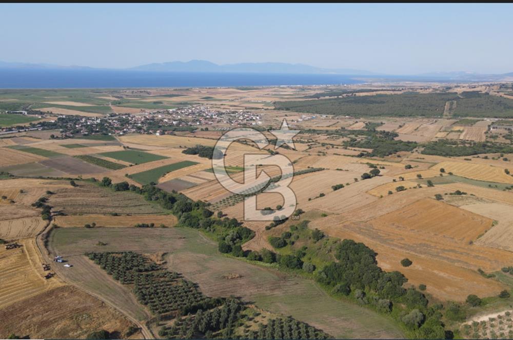 Çanakkale Biga Güvemalan Satılık 33.000 M2 Arazi