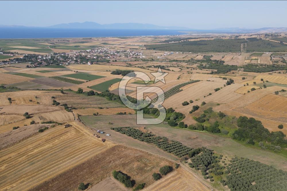 Çanakkale Biga Güvemalan Satılık 33.000 M2 Arazi