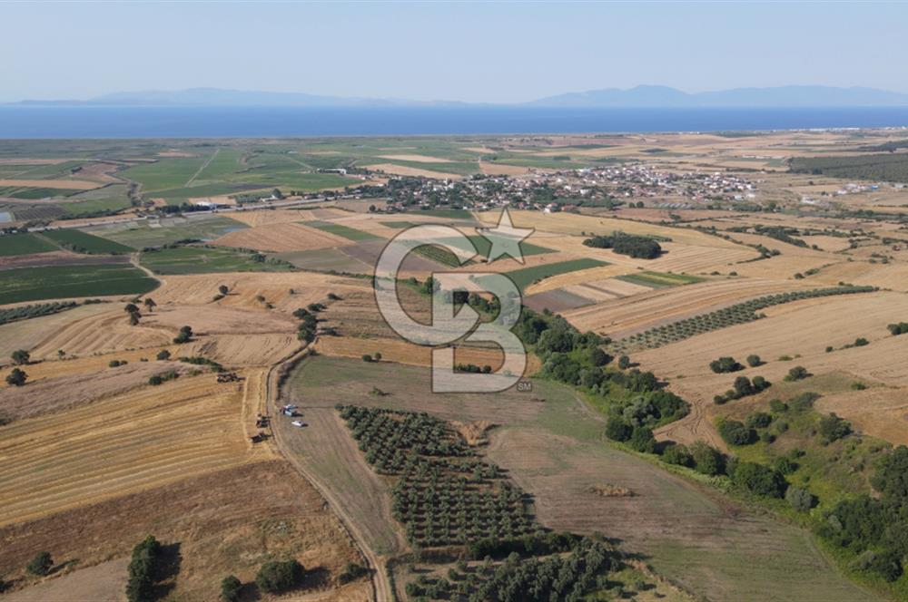 Çanakkale Biga Güvemalan Satılık 33.000 M2 Arazi