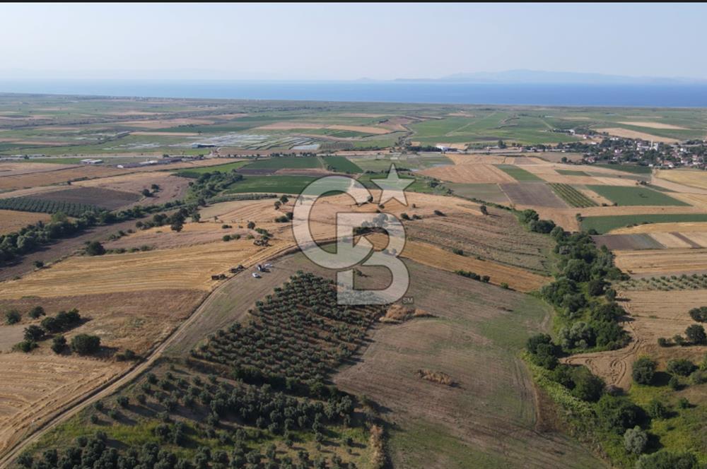 Çanakkale Biga Güvemalan Satılık 33.000 M2 Arazi