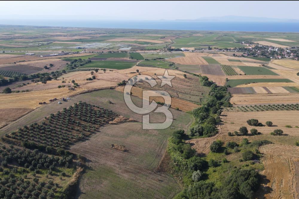Çanakkale Biga Güvemalan Satılık 33.000 M2 Arazi