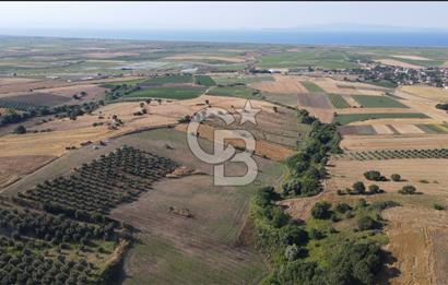 Çanakkale Biga Güvemalan Satılık 33.000 M2 Arazi