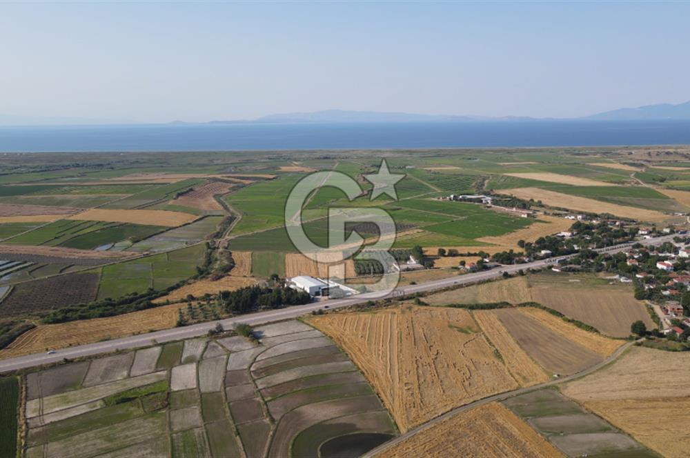 Çanakkale Biga Güvemalan Satılık 33.000 M2 Arazi