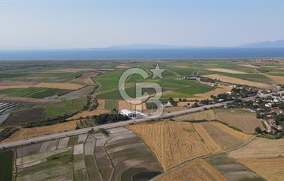 Çanakkale Biga Güvemalan Satılık 33.000 M2 Arazi