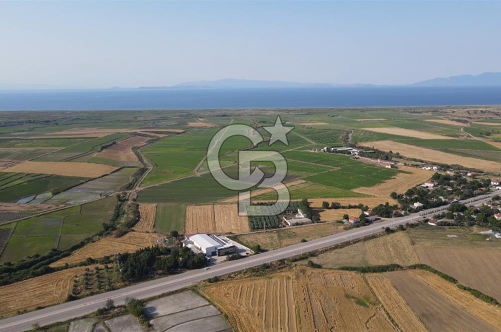 Çanakkale Biga Güvemalan Satılık 33.000 M2 Arazi