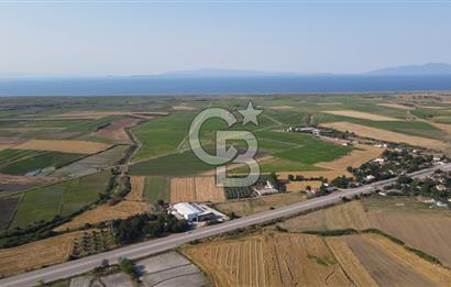 Çanakkale Biga Güvemalan Satılık 33.000 M2 Arazi