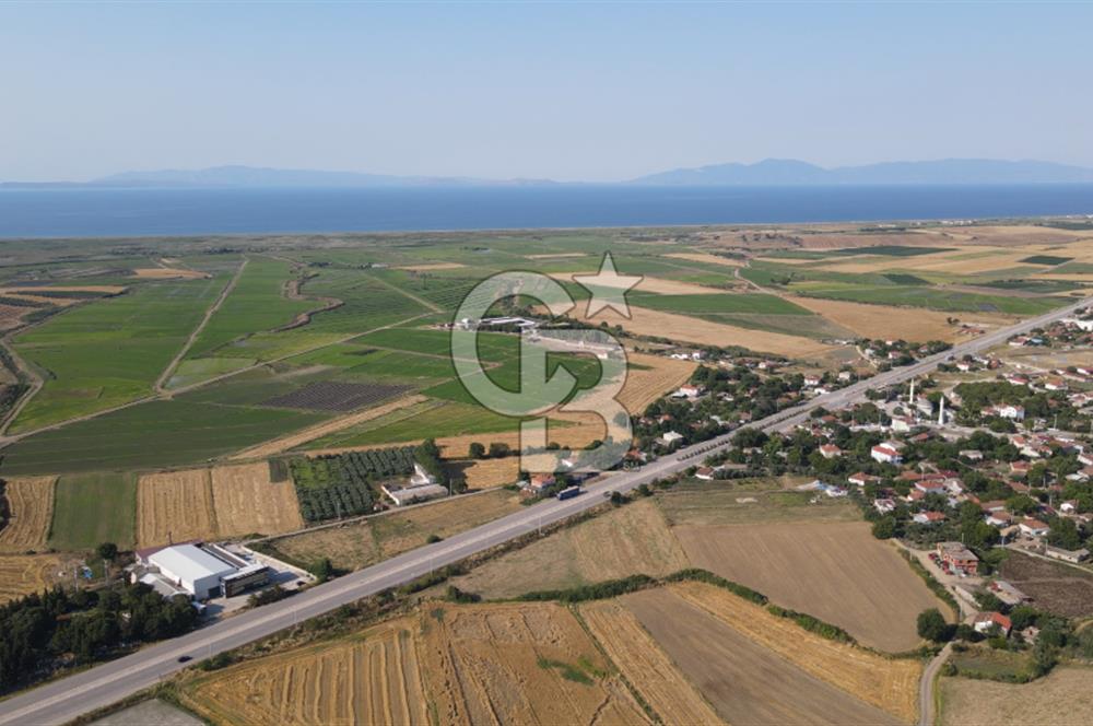 Çanakkale Biga Güvemalan Satılık 33.000 M2 Arazi