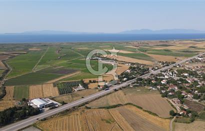Çanakkale Biga Güvemalan Satılık 33.000 M2 Arazi
