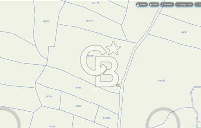 Çanakkale Biga Güvemalan Satılık 33.000 M2 Arazi