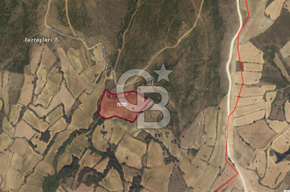 Edirne Keşan Gökçetepe Satılık 32.864 M2 Arazi