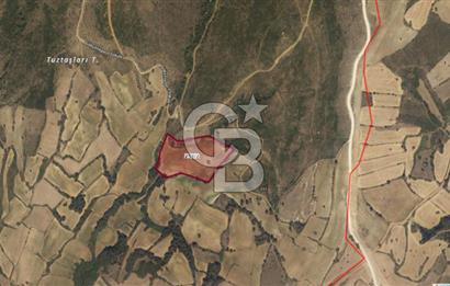 Edirne Keşan Gökçetepe Satılık 32.864 M2 Arazi