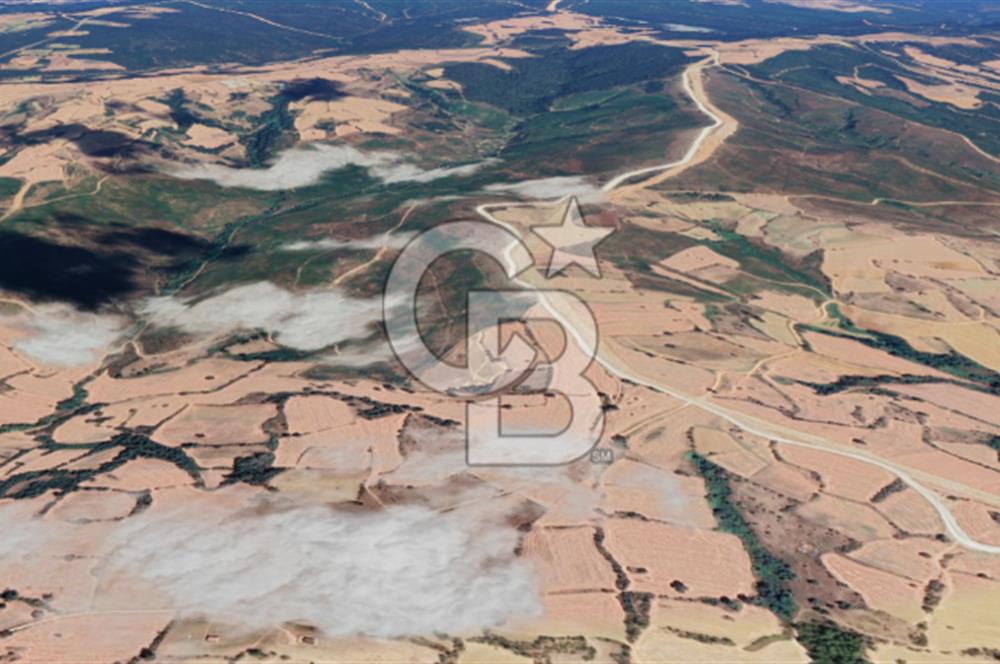 Edirne Keşan Gökçetepe Satılık 32.864 M2 Arazi