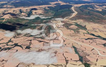 Edirne Keşan Gökçetepe Satılık 32.864 M2 Arazi