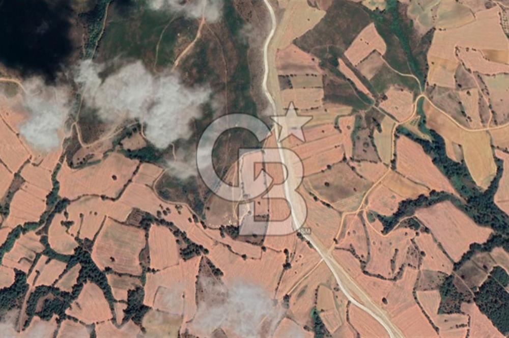 Edirne Keşan Gökçetepe Satılık 32.864 M2 Arazi