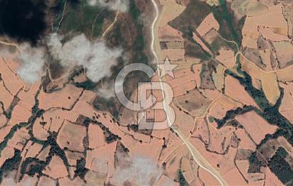 Edirne Keşan Gökçetepe Satılık 32.864 M2 Arazi