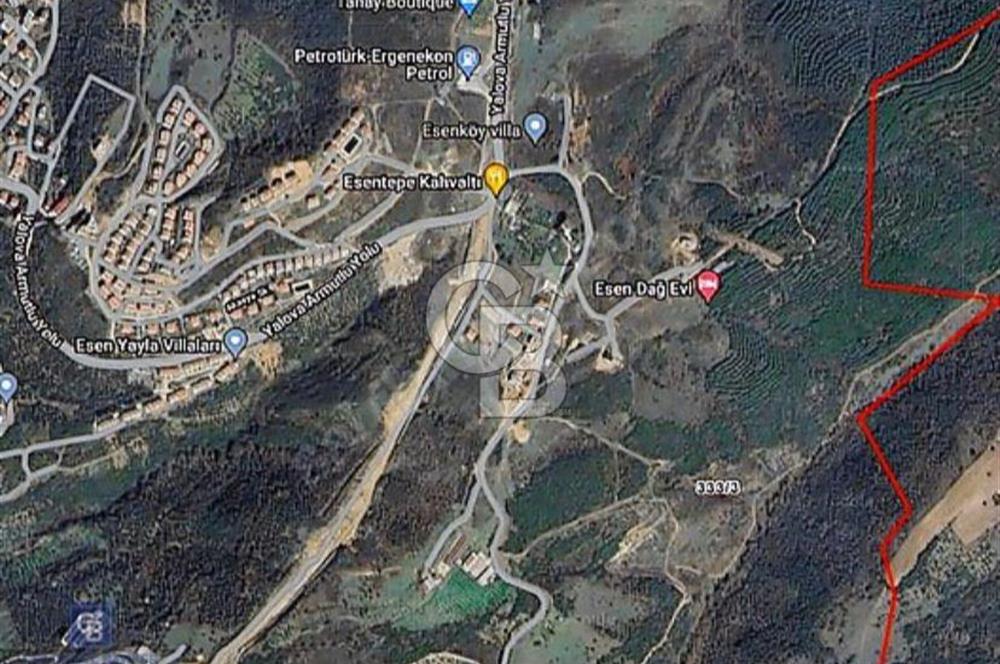 Yalova Çınarcık Esenköy Doğanın İçinde Manzaralı Satılık Arsa!..