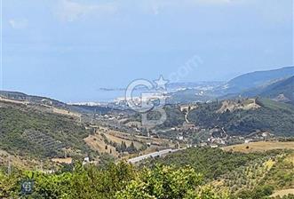 Yalova Çınarcık Esenköy Doğanın İçinde Manzaralı Satılık Arsa!.. - 1 - 238635