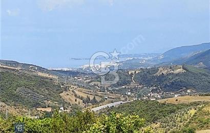 Yalova Çınarcık Esenköy Doğanın İçinde Manzaralı Satılık Arsa!..