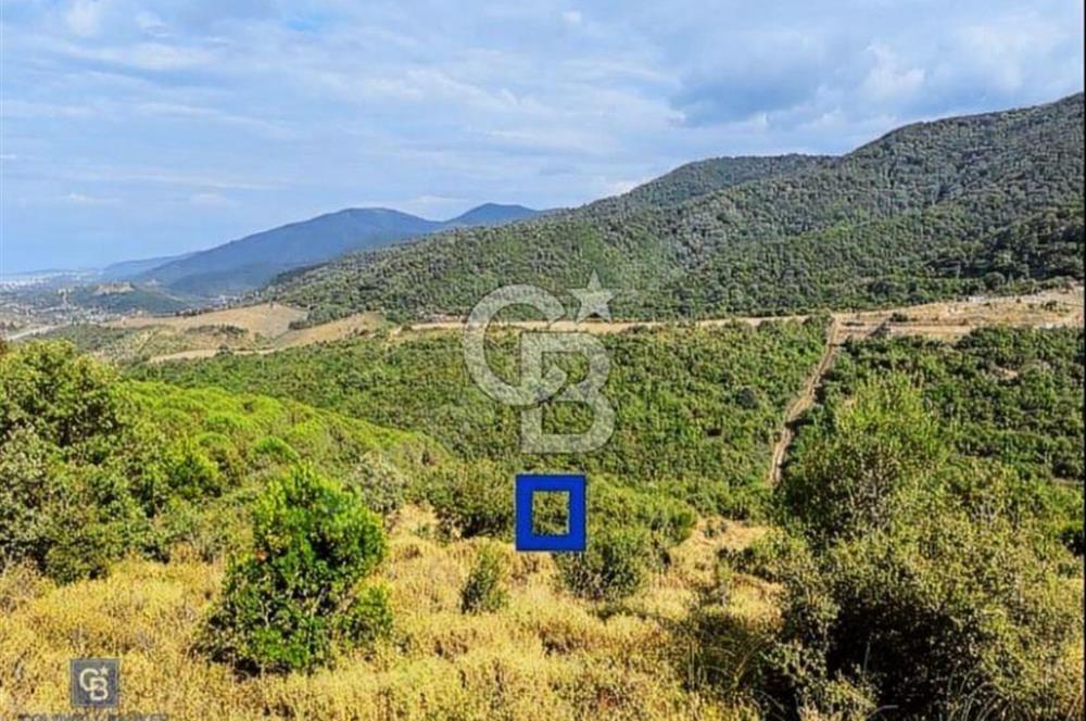 Yalova Çınarcık Esenköy Doğanın İçinde Manzaralı Satılık Arsa!..