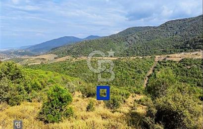 Yalova Çınarcık Esenköy Doğanın İçinde Manzaralı Satılık Arsa!..