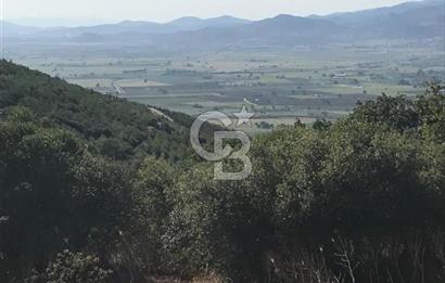 Bergama Sindelde İlçe Merkezine 10 dk mesafede Manzarali Arazi