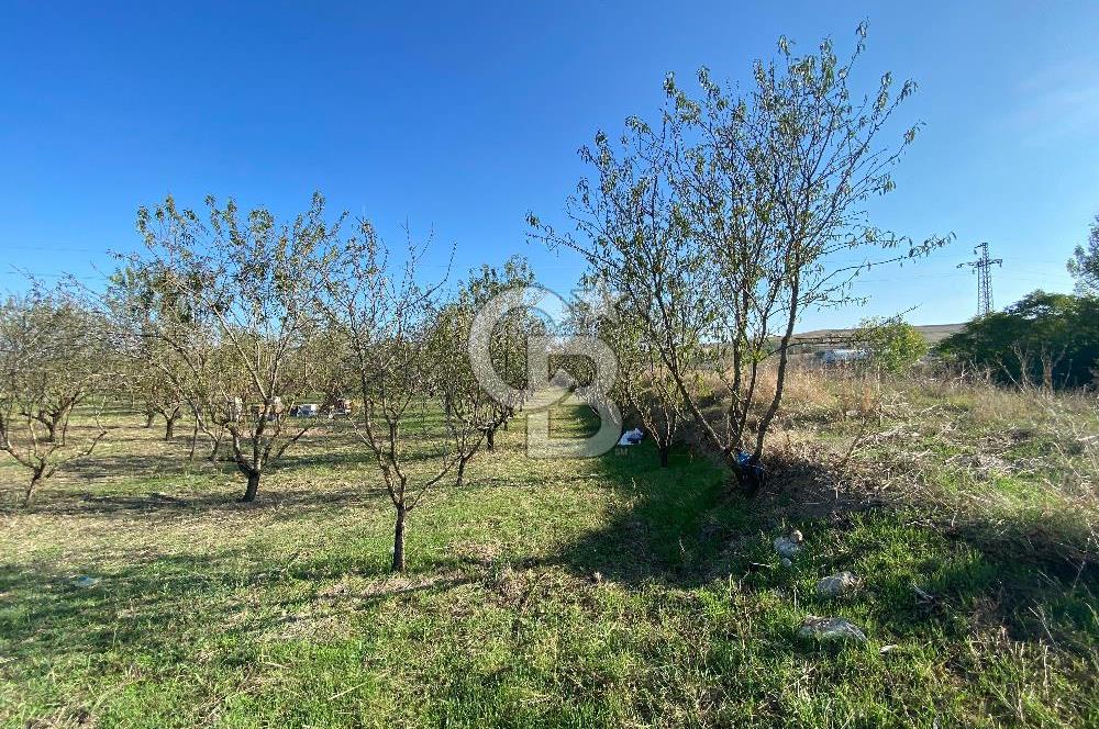 Edirne Merkez Tayakadın’da Satılık Tarla