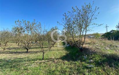 Edirne Merkez Tayakadın’da Satılık Tarla