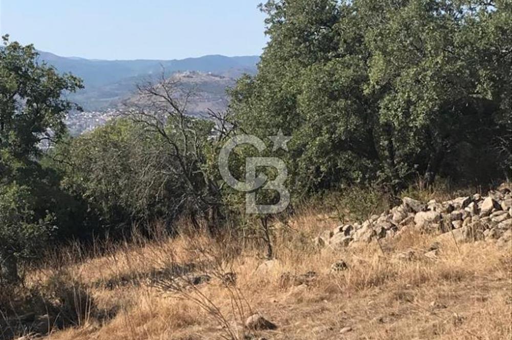 Bergama Sindelde İlçe Merkezine 10 dk mesafede Manzarali Arazi