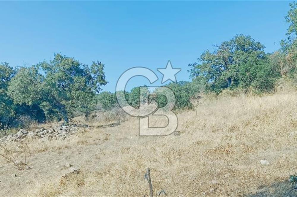 Bergama Sindelde İlçe Merkezine 10 dk mesafede Manzarali Arazi