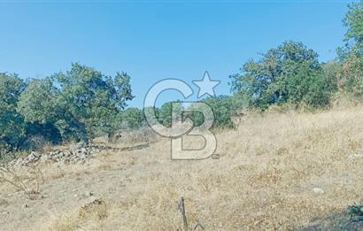 Bergama Sindelde İlçe Merkezine 10 dk mesafede Manzarali Arazi