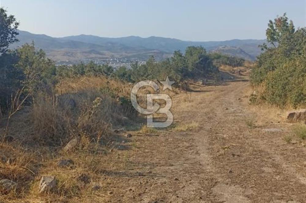 Bergama Sindelde İlçe Merkezine 10 dk mesafede Manzarali Arazi